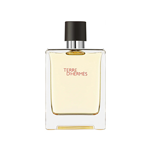 عطر ادکلن هرمس تق هرمس اصل | Hermes Terre d’Hermes 100 ml